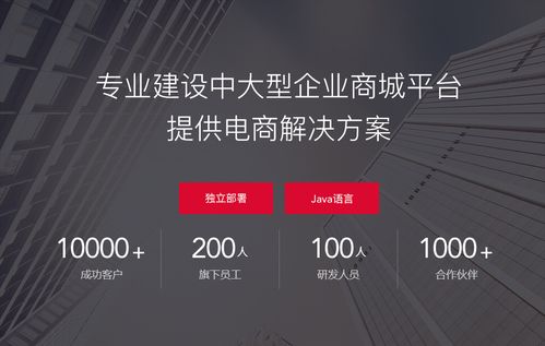 商城系統 小程序商城開發公司哪家好 從這6點判斷