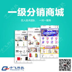 手機app商城系統開發 肇慶商城系統開發 千飛多年經驗